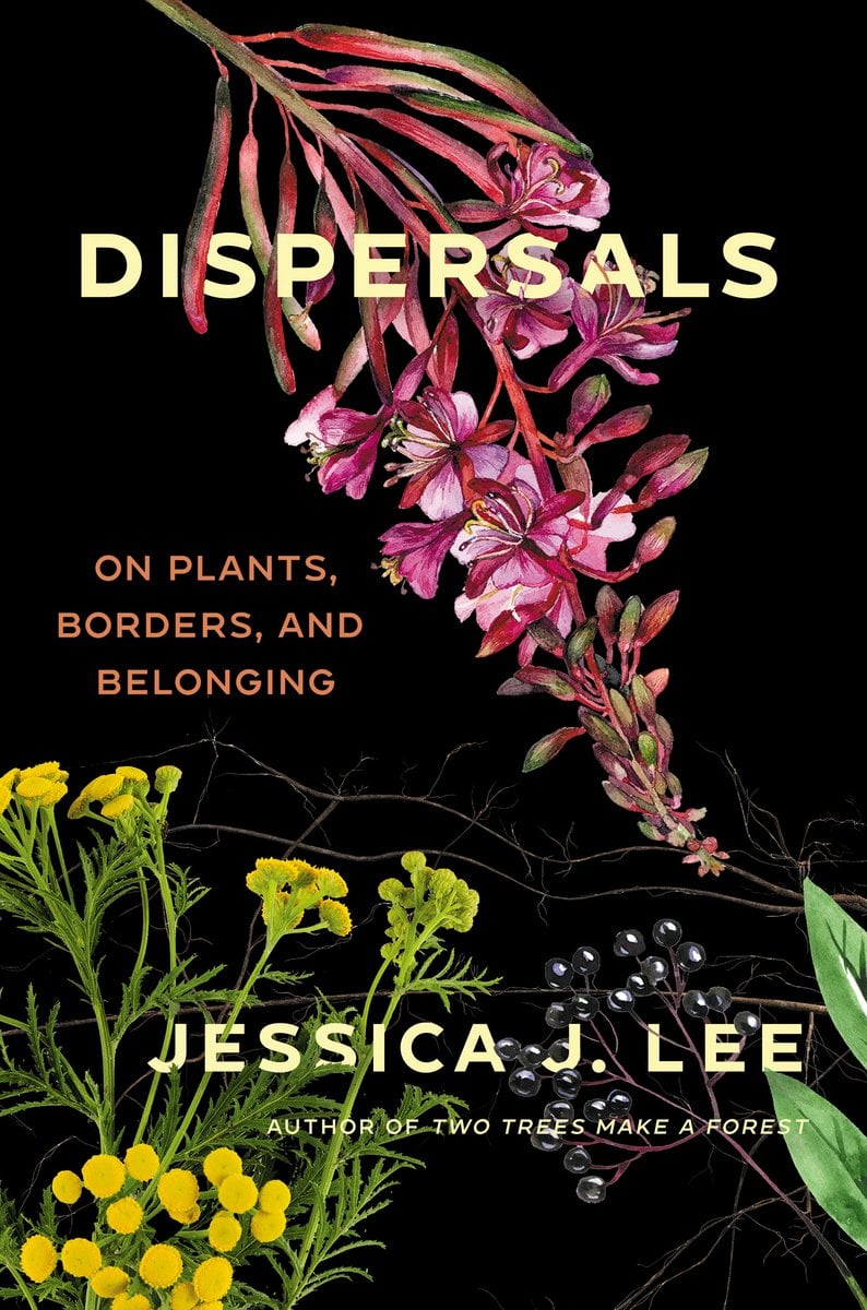 Cover of Dispersals by Jessica J. Lee