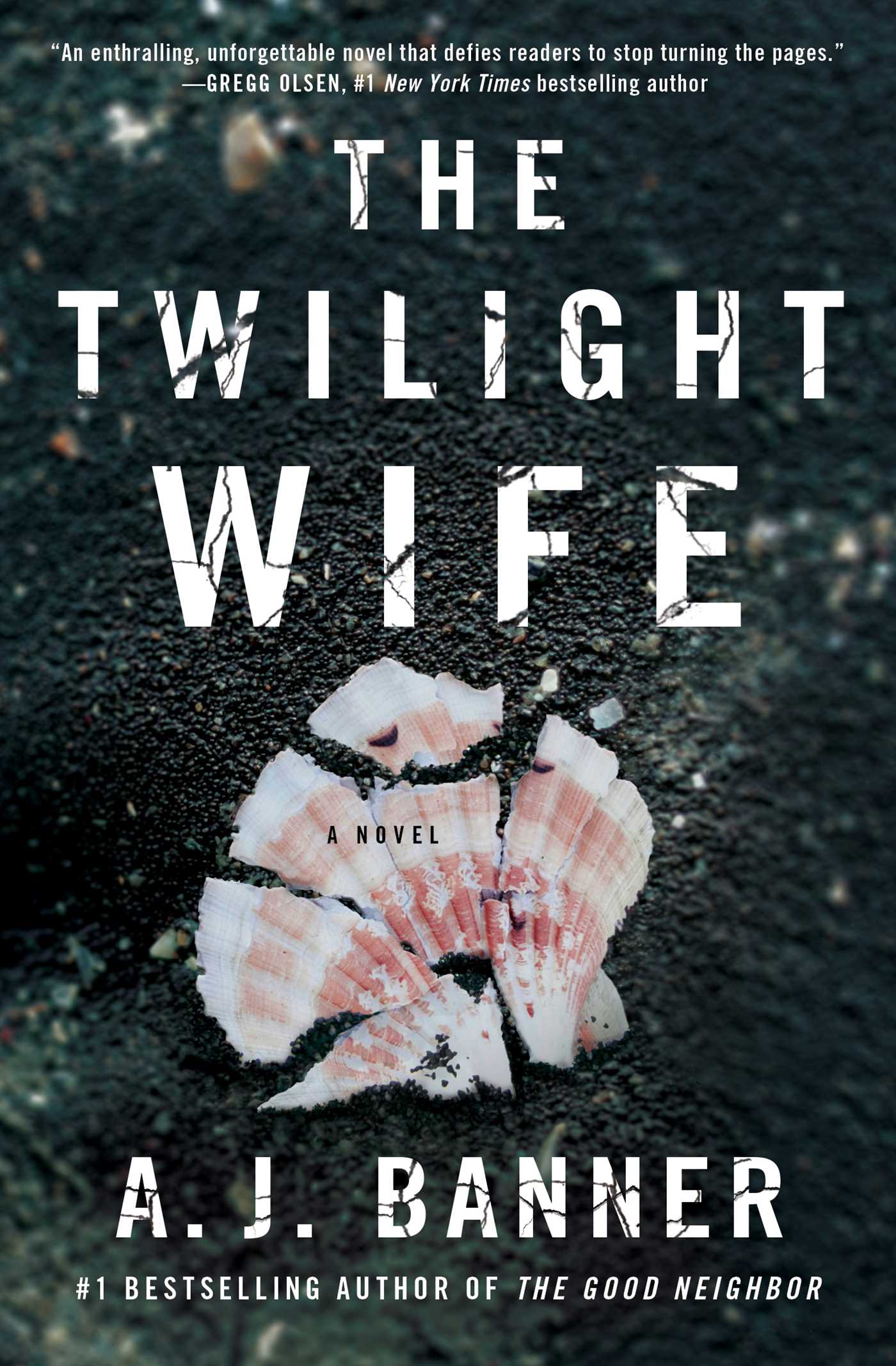 Cover of The Twilight Wife by A.J. Banner
