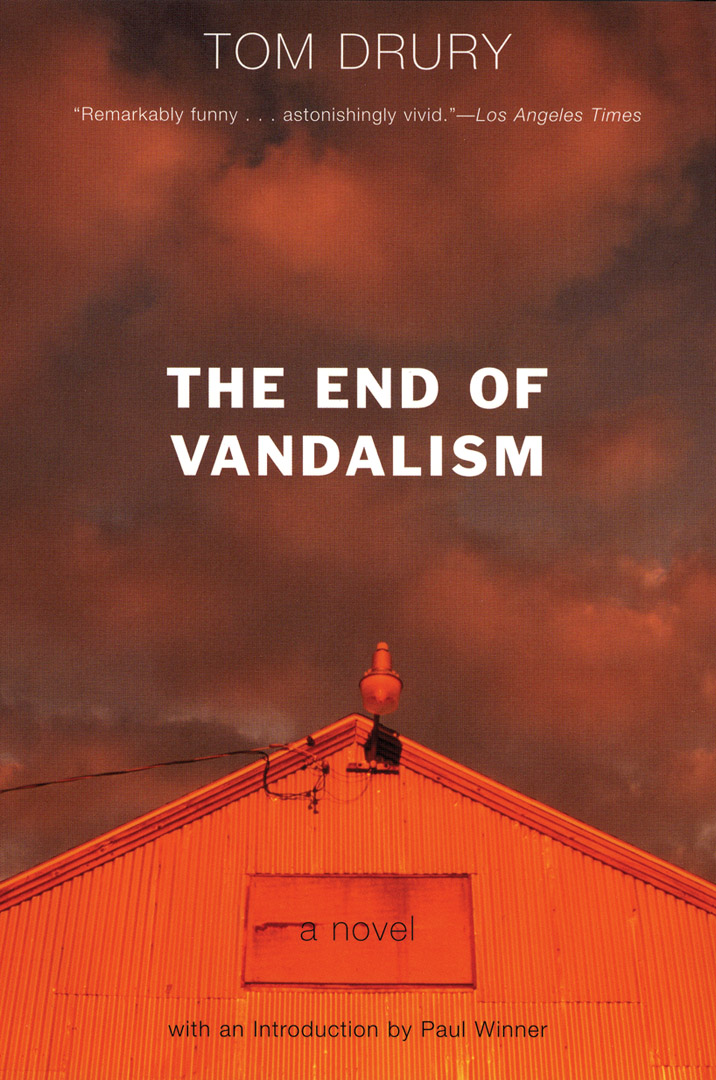 Cover of The End of Vandalism by Tom Drury