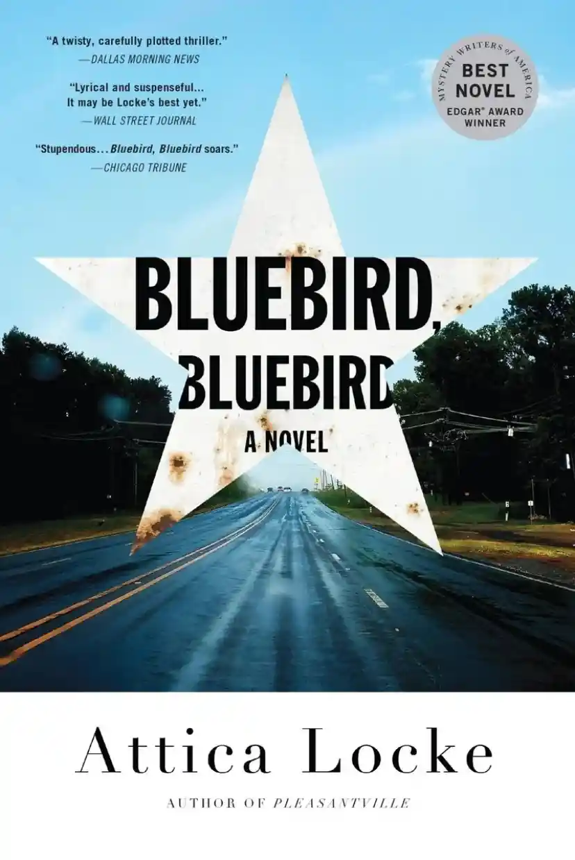 Cover of Bluebird, Bluebird