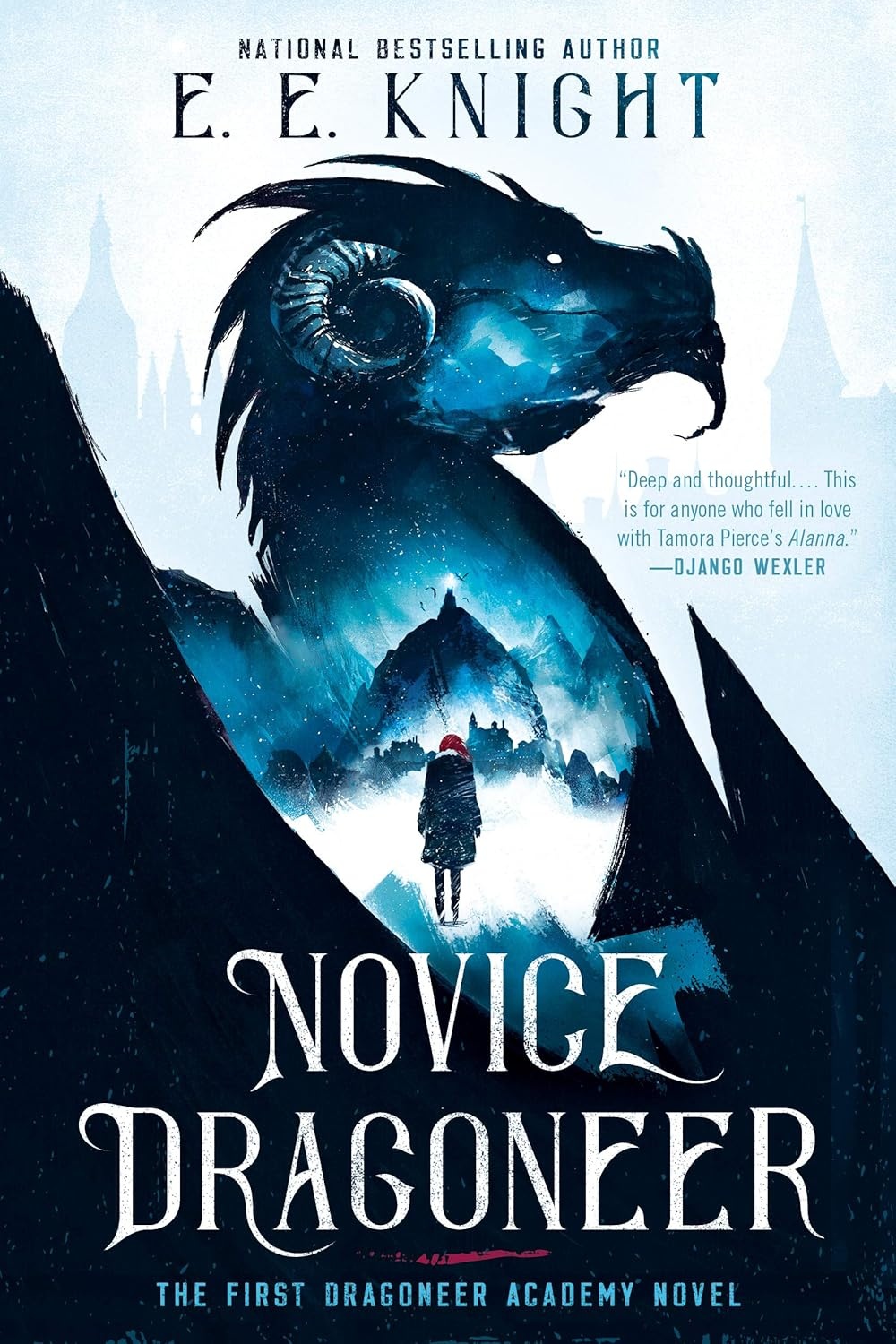 Novice Dragoneer cover