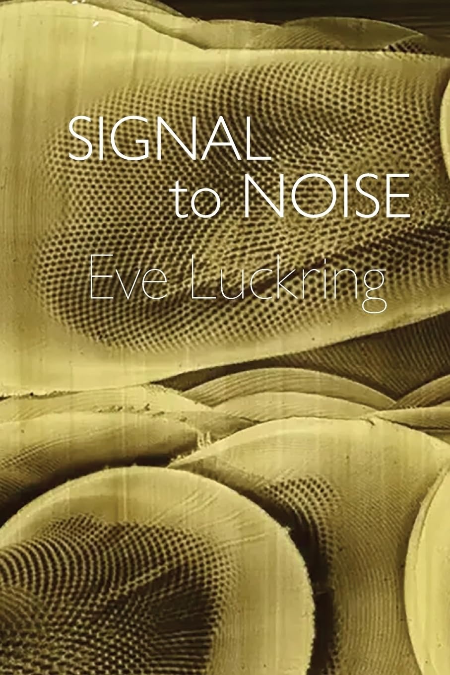 Signal to Noise cover