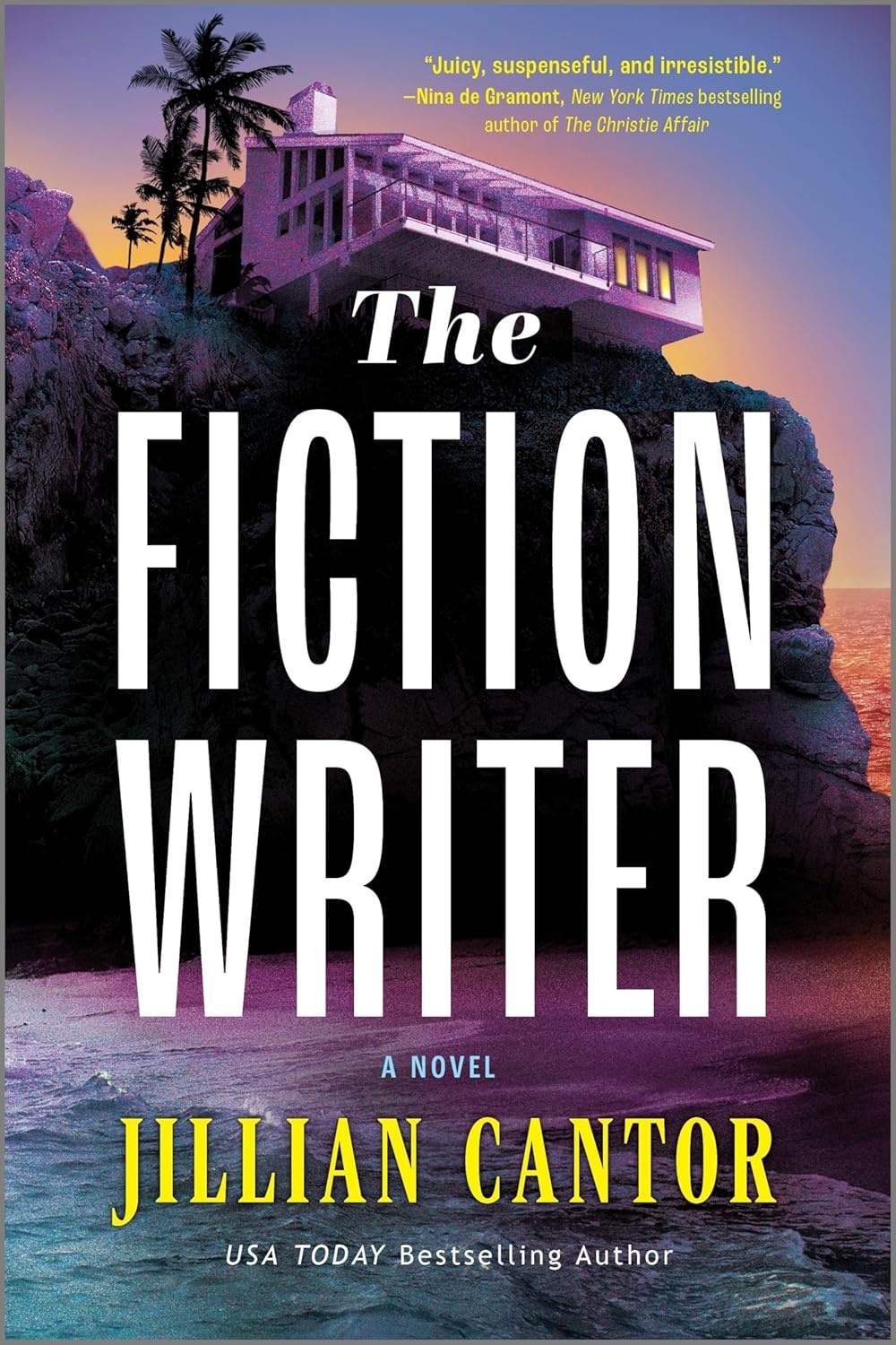 The Fiction Writer cover