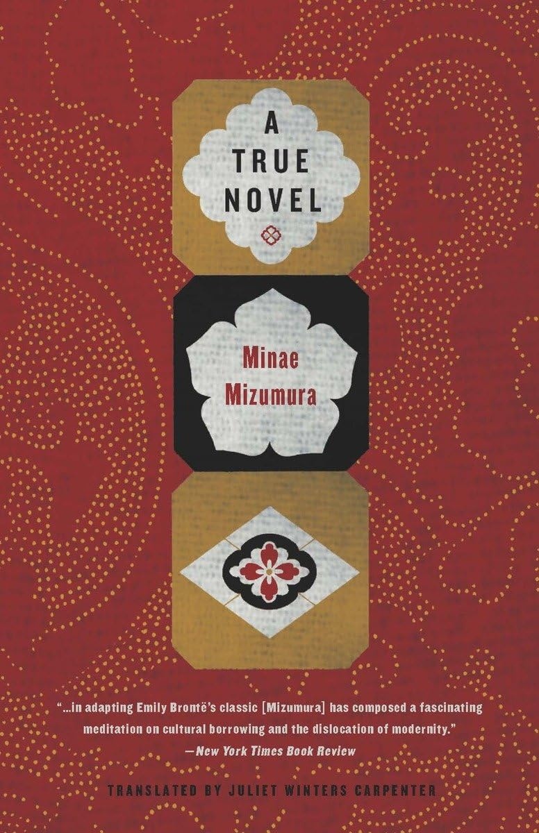 A True Novel cover