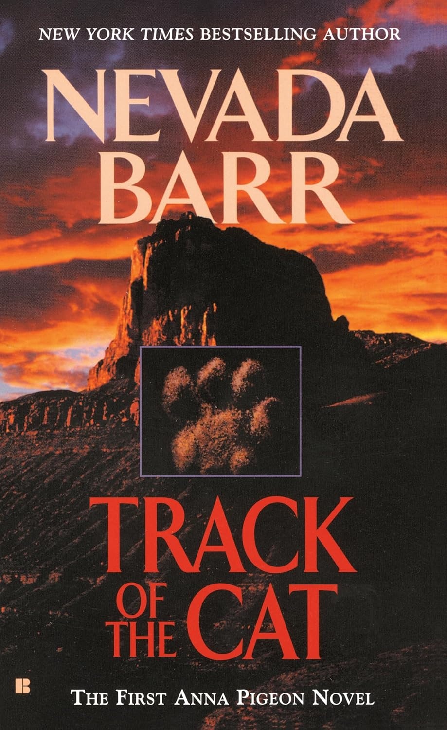 Track of the Cat cover