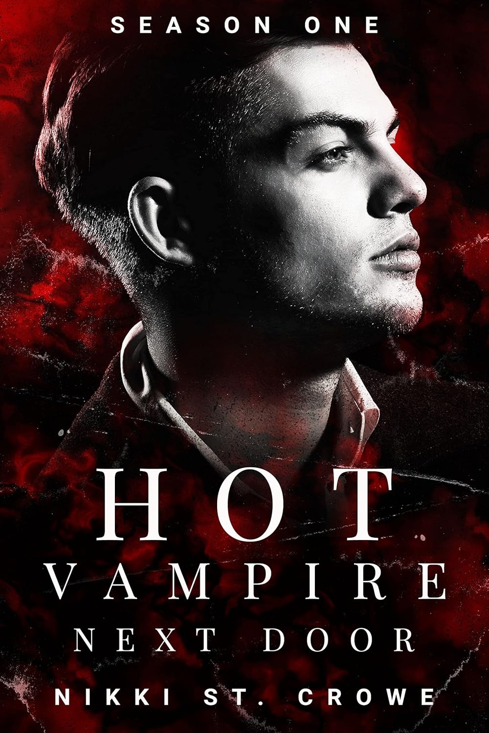 Hot Vampire Next Door: Season One cover