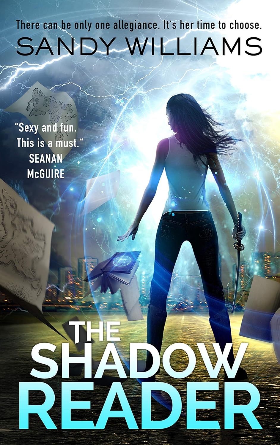 The Shadow Reader cover