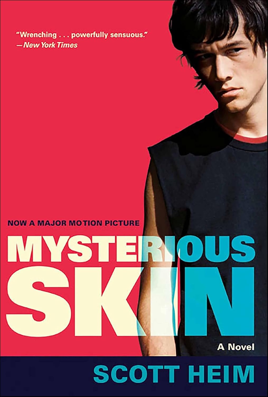 Mysterious Skin cover