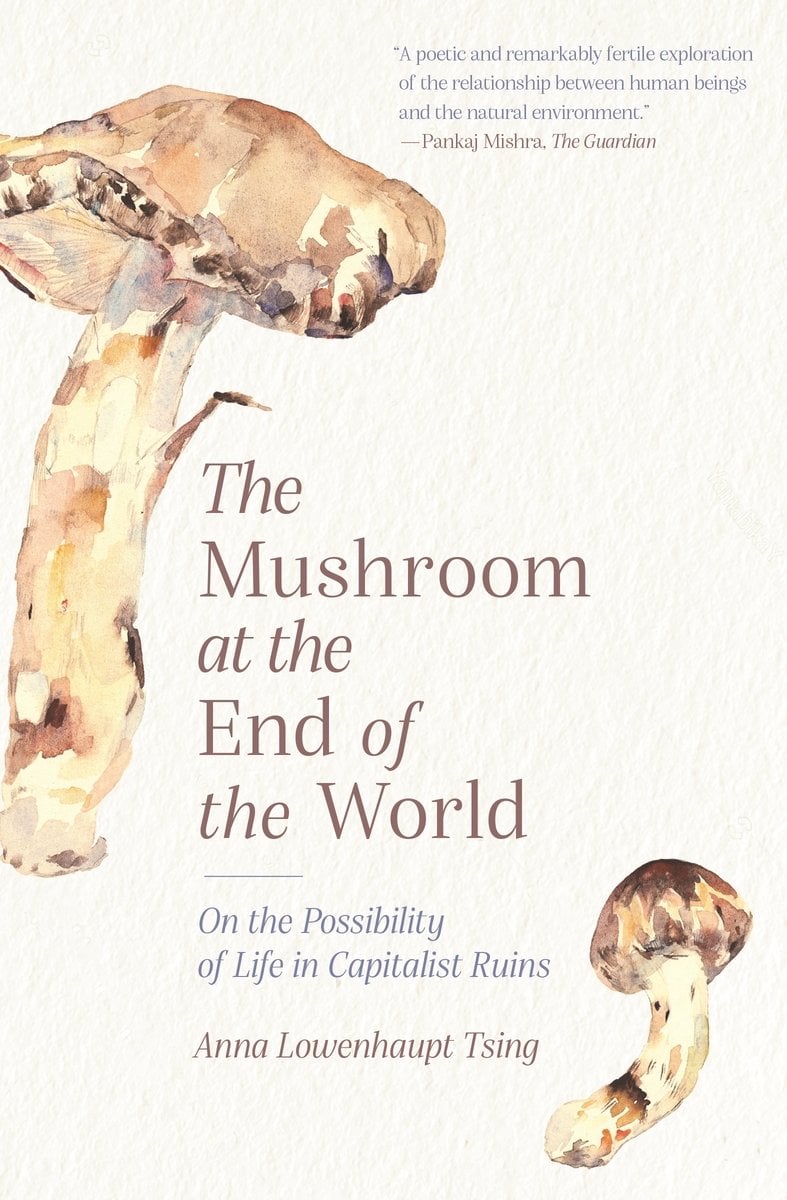 Cover of The Mushroom at the End of the World by Anna Lowenhaupt Tsing
