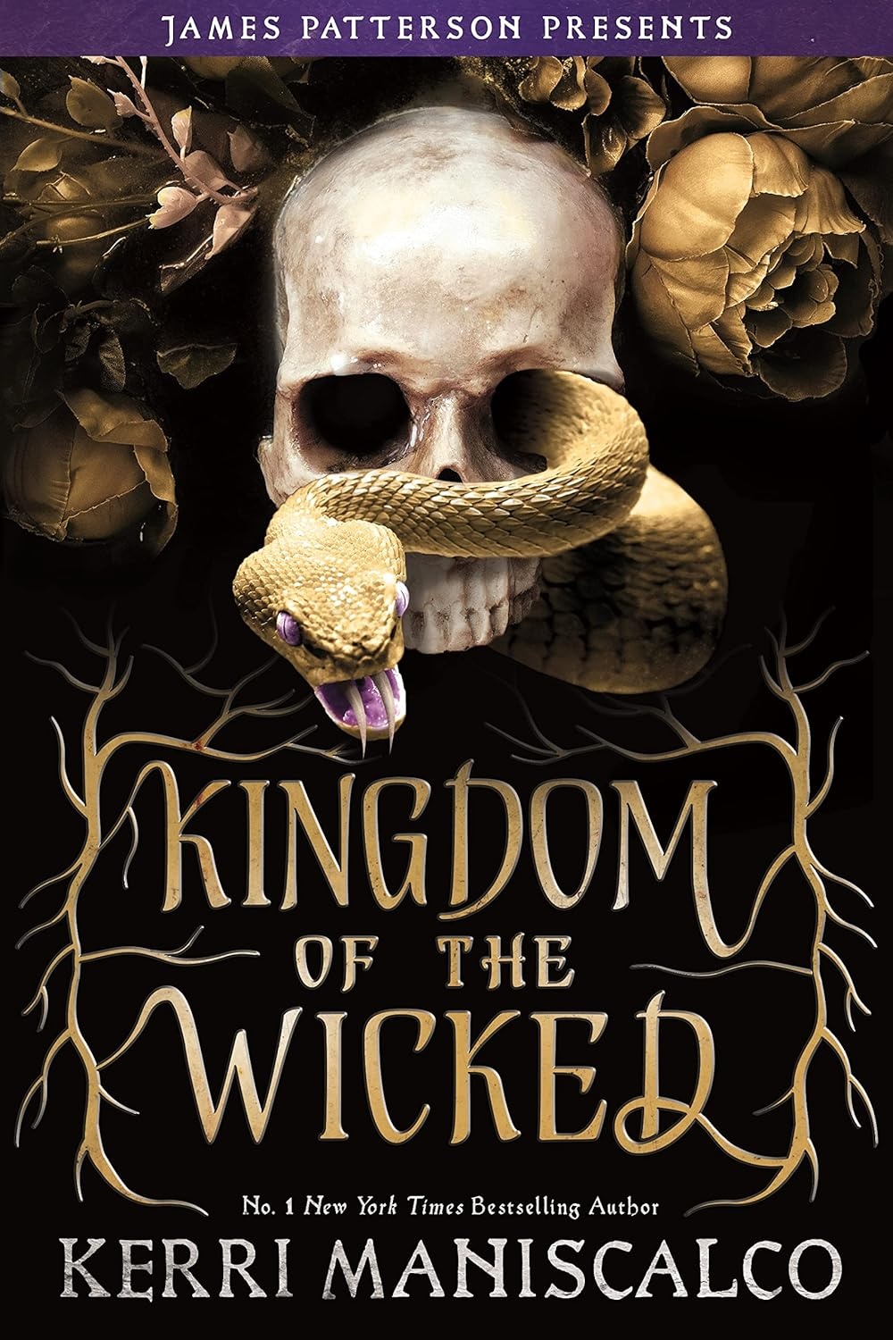 Cover of Kingdom of the Wicked
