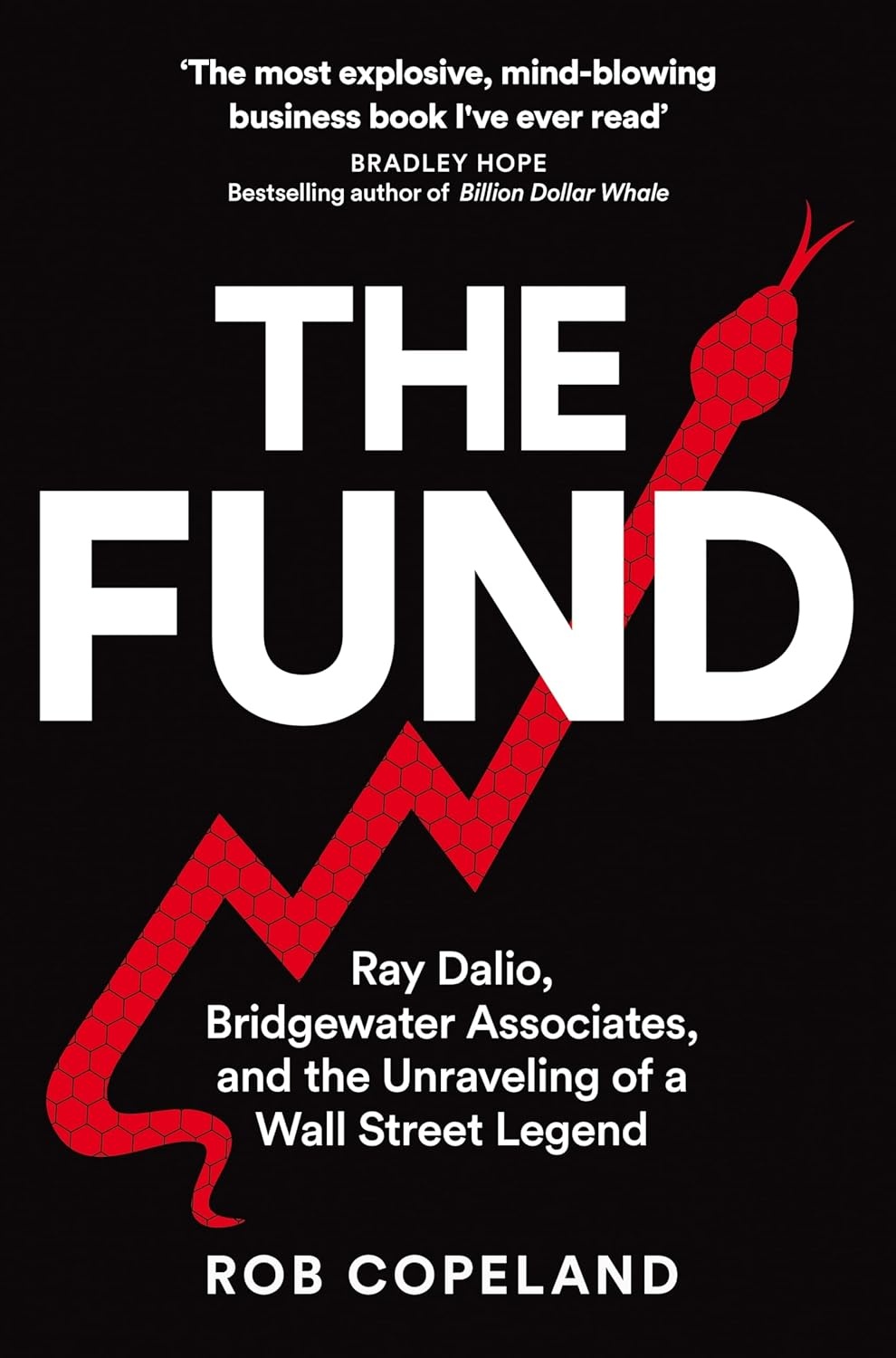 Cover of The Fund