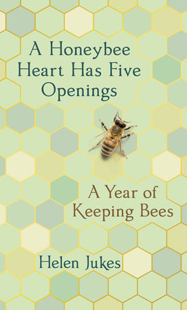 Cover of A Honeybee Heart Has Five Openings by Helen Jukes