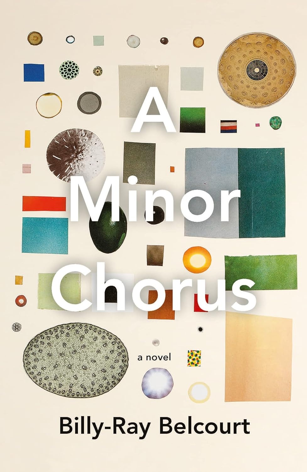 Cover of A Minor Chorus