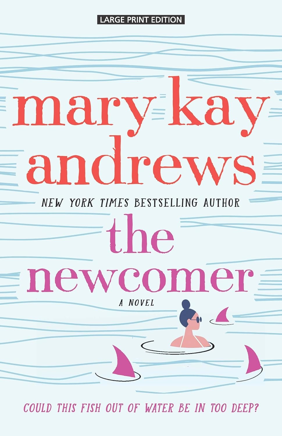 Cover of The Newcomer