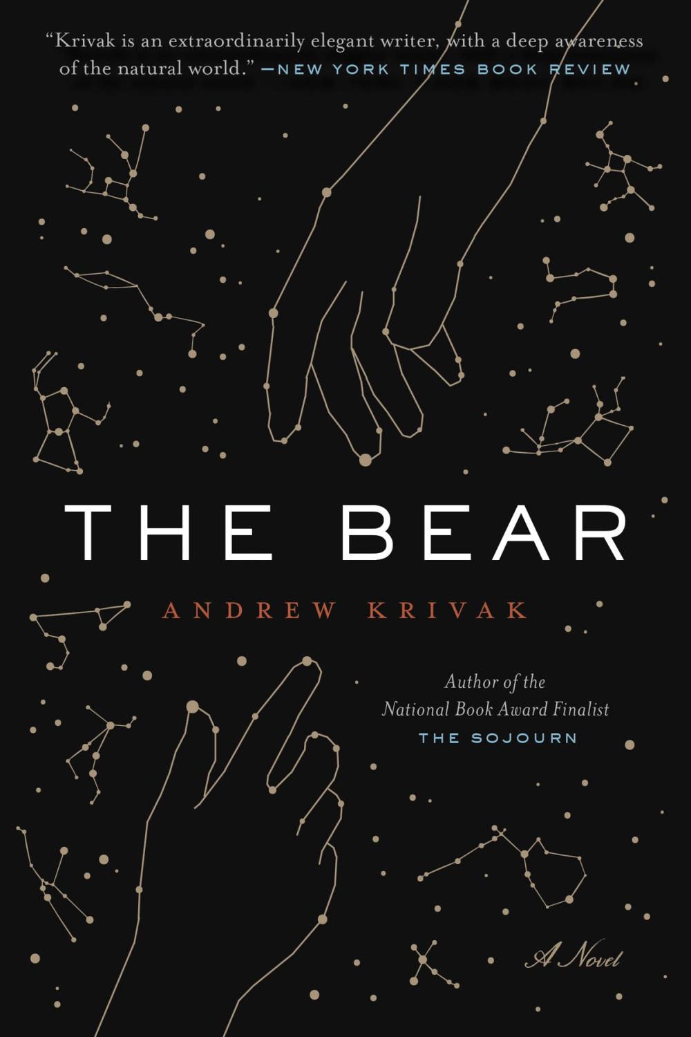 Cover of The Bear by Andrew Krivak