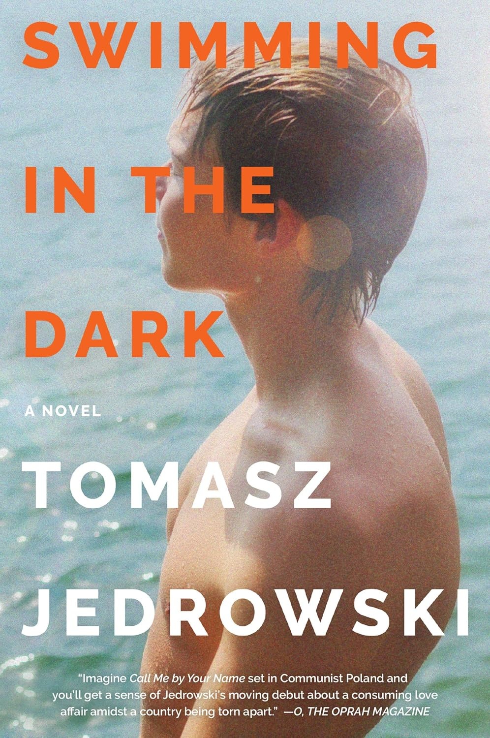 Cover of Swimming in the Dark