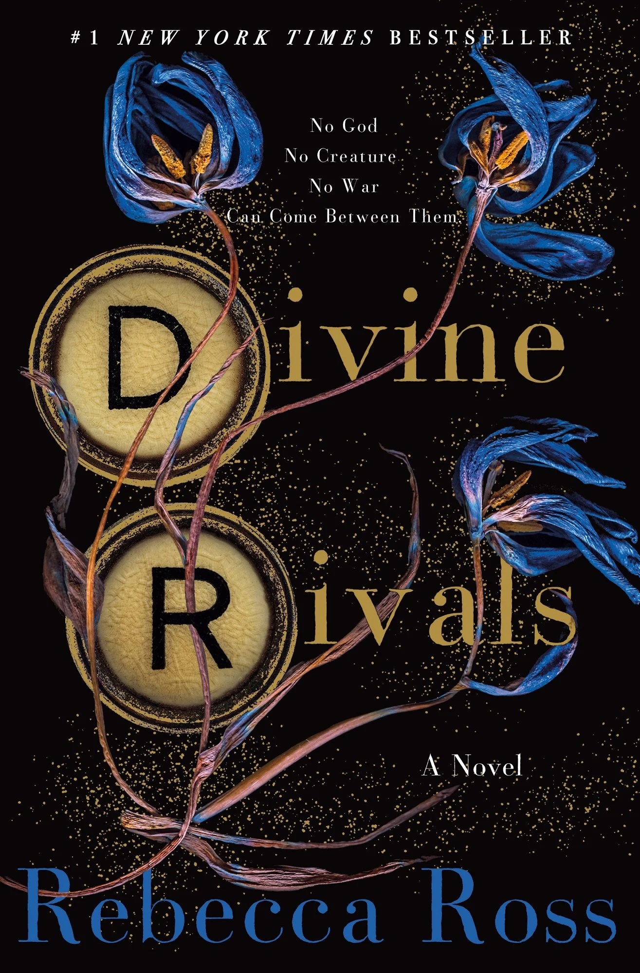 Cover of Divine Rivals