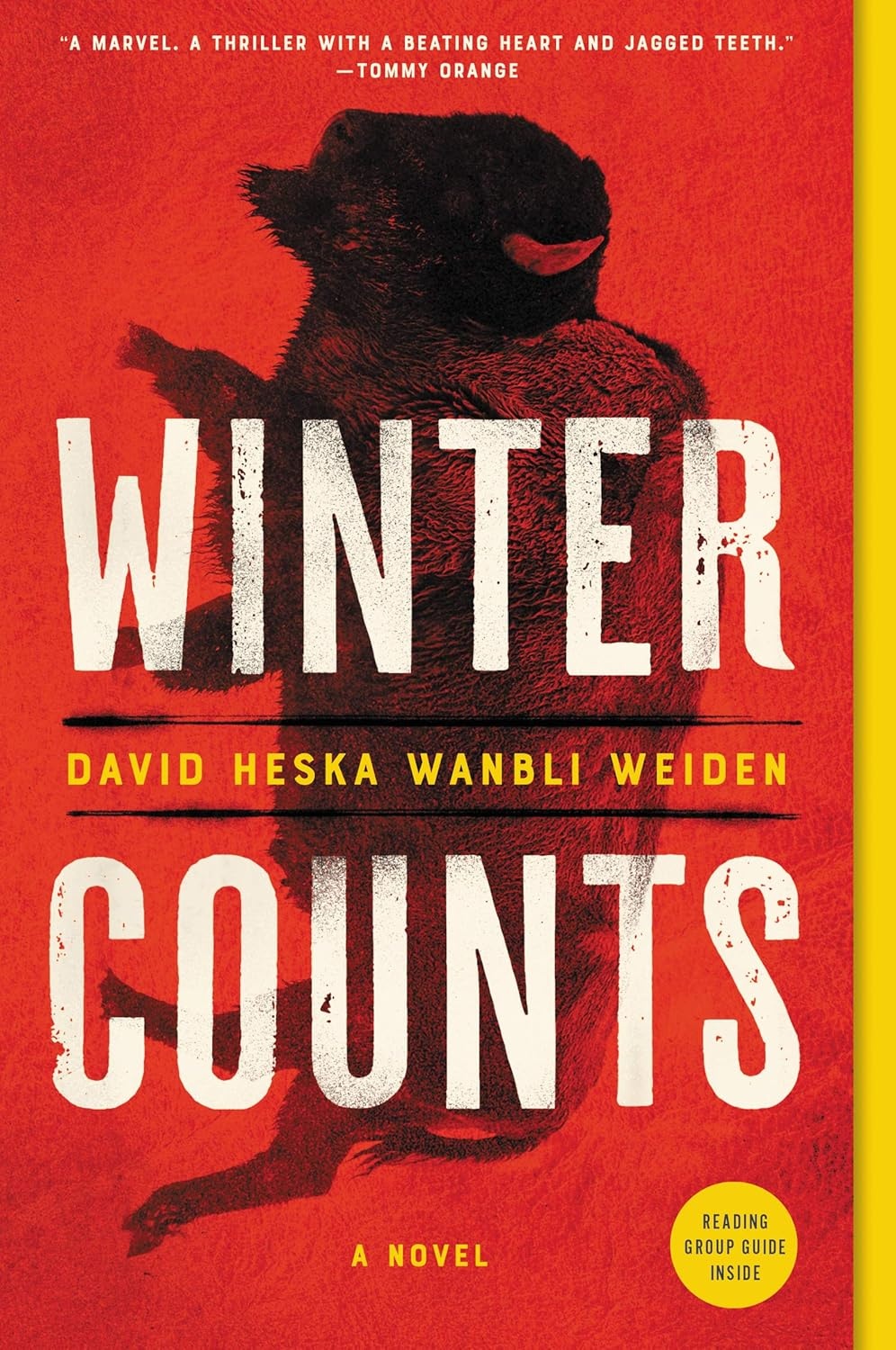 Cover of Winter Counts
