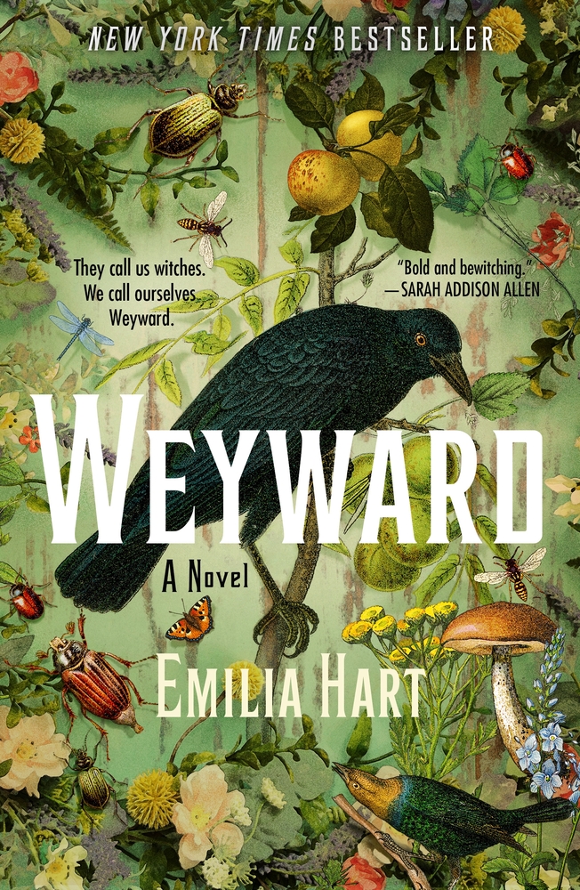 Cover of Weyward