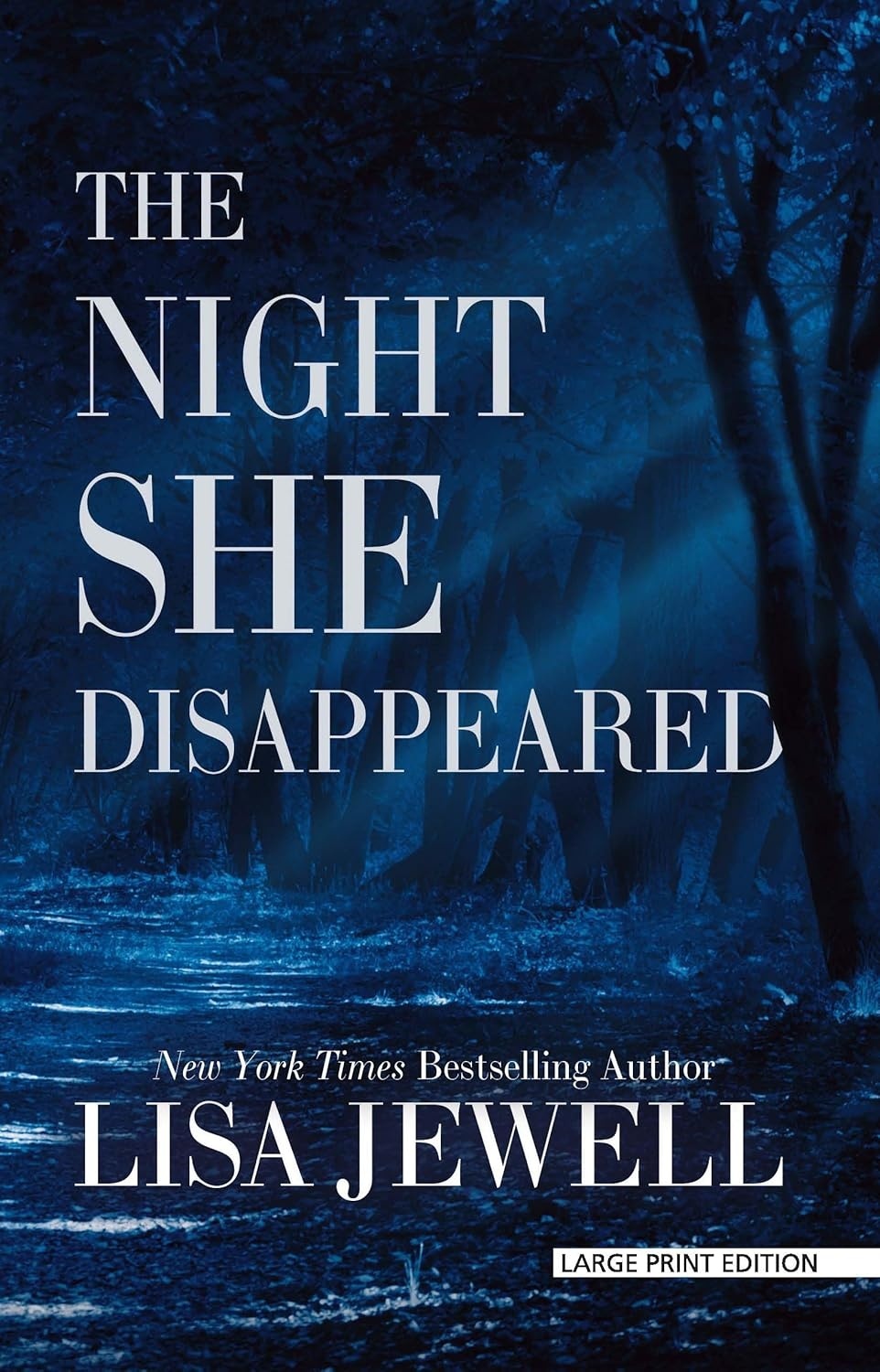Cover of The Night She Disappeared