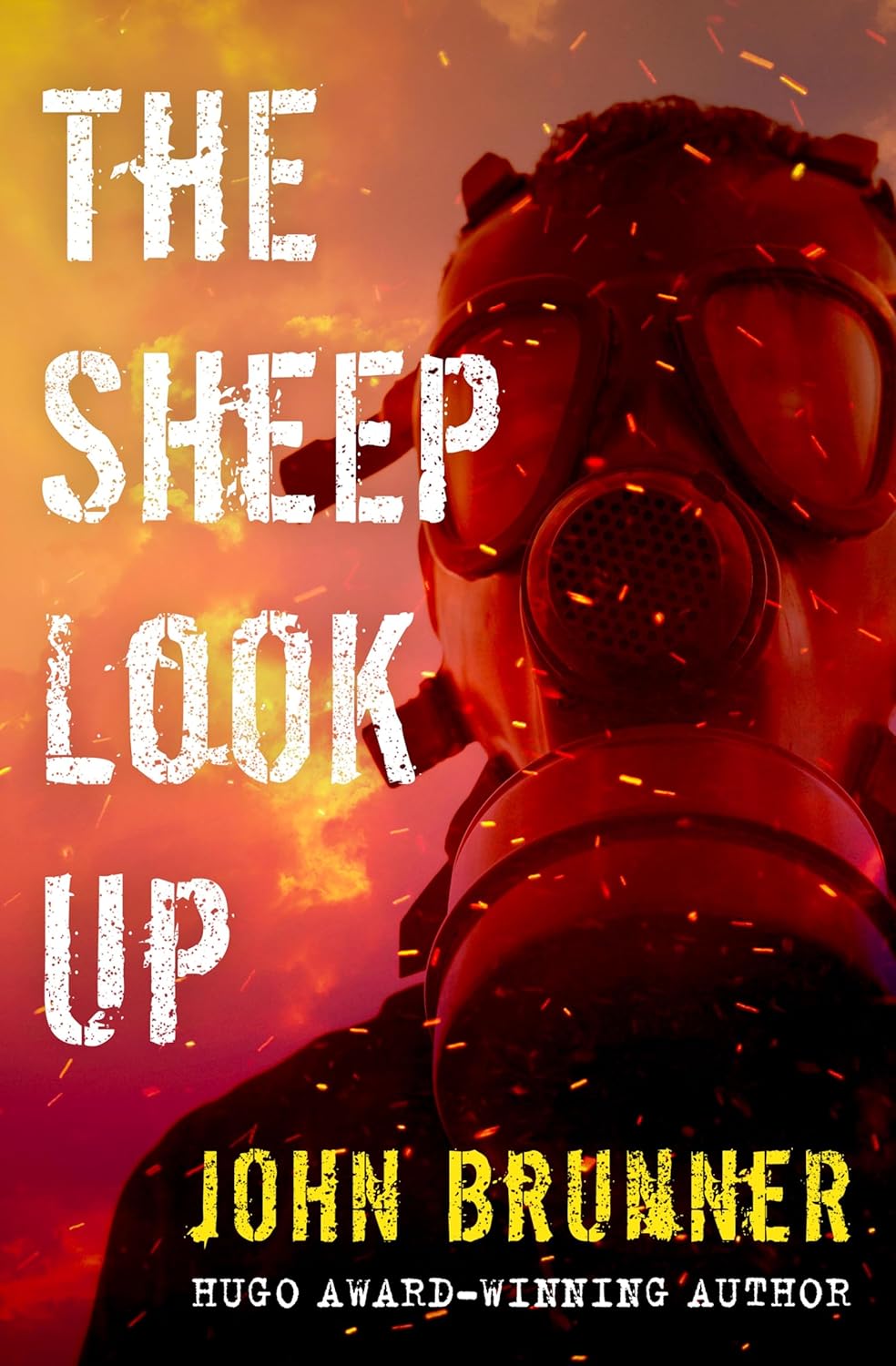 Cover of The Sheep Look Up