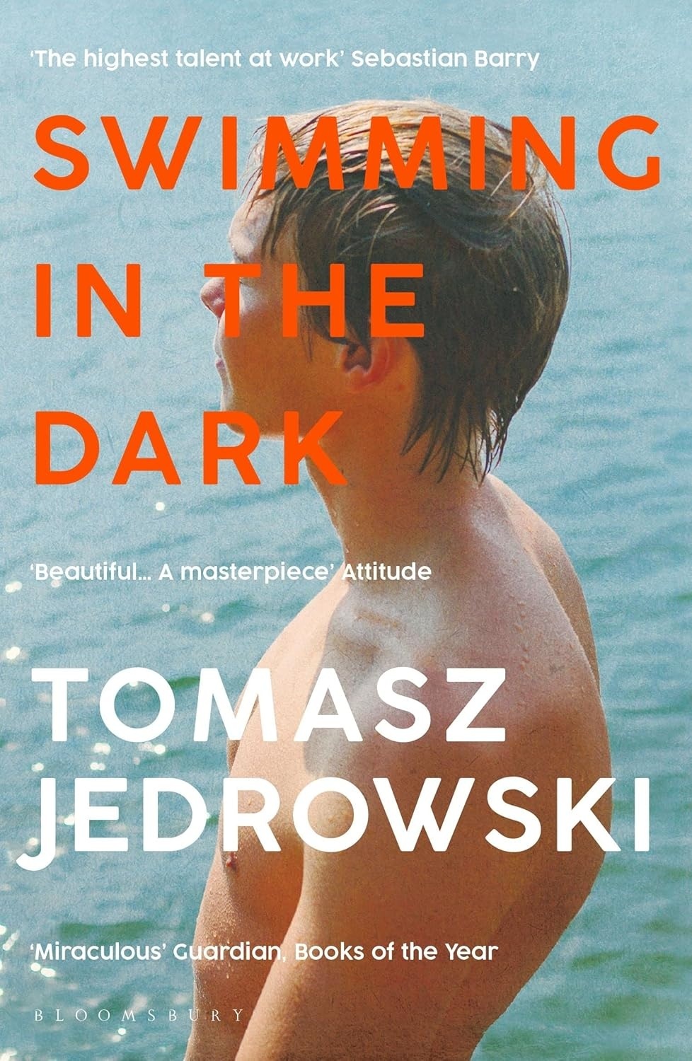 Cover of Swimming in the Dark