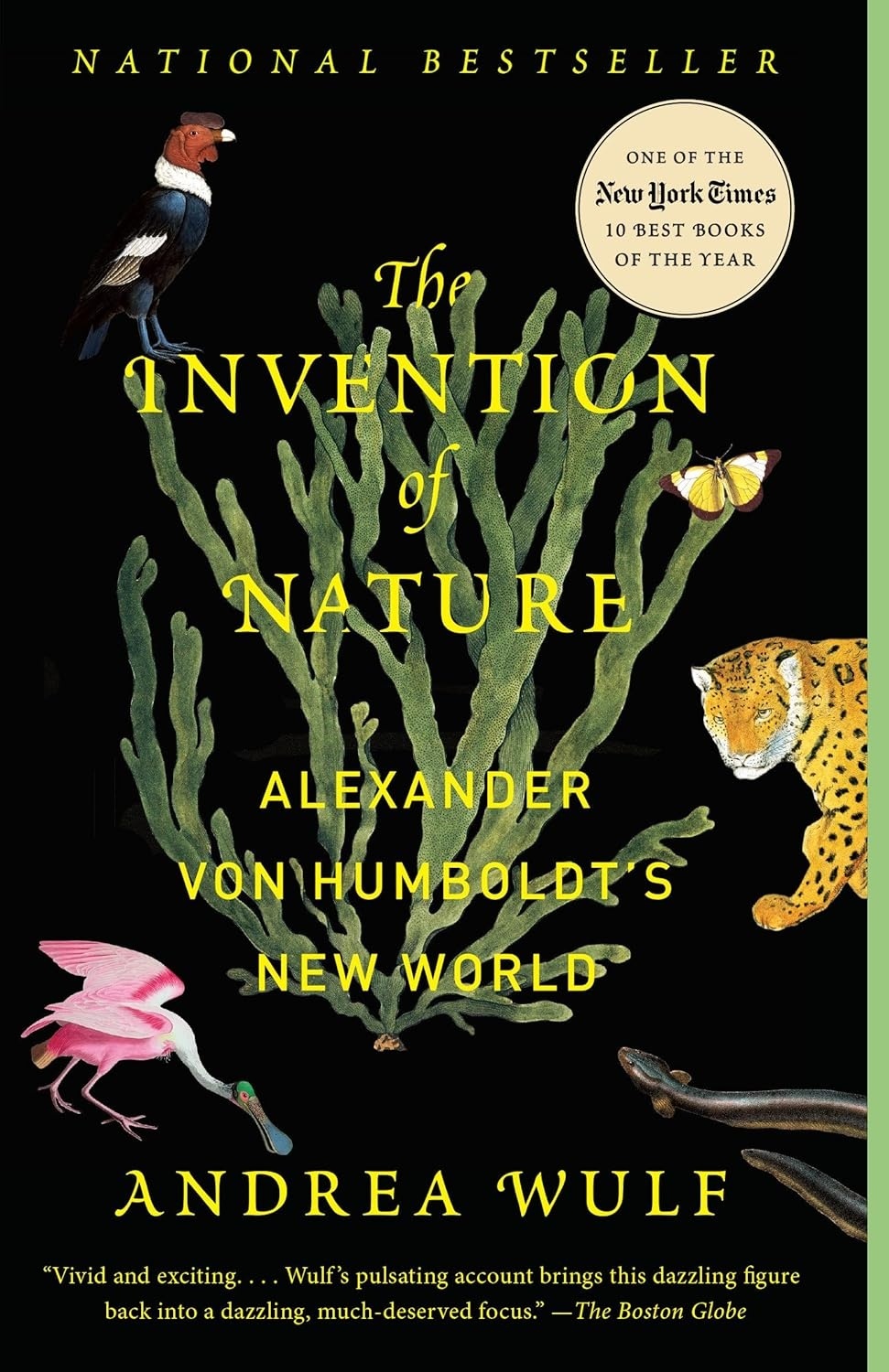 Cover of The Invention of Nature