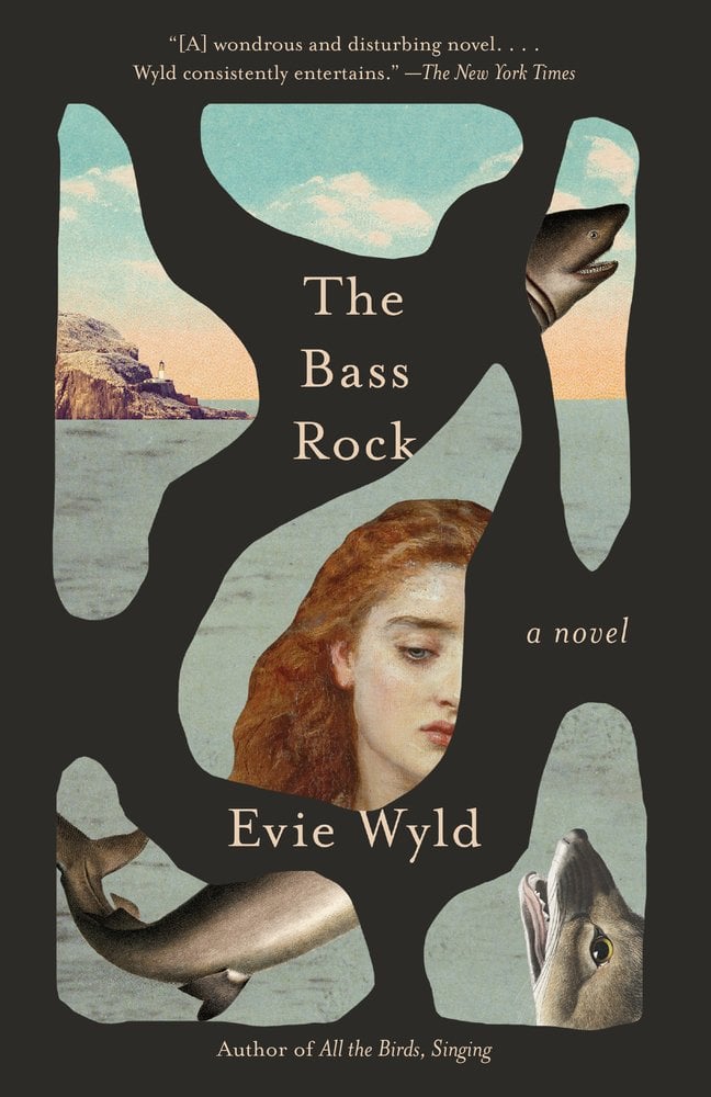 Cover of The Bass Rock by Evie Wyld