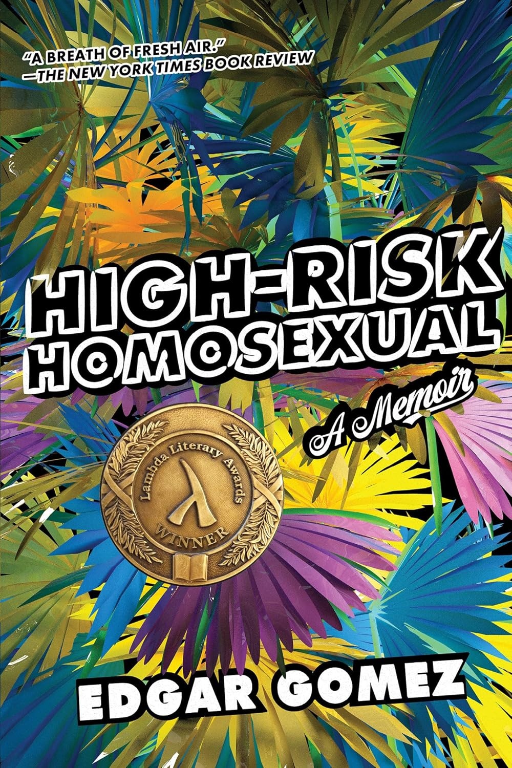 Cover of High-Risk Homosexual