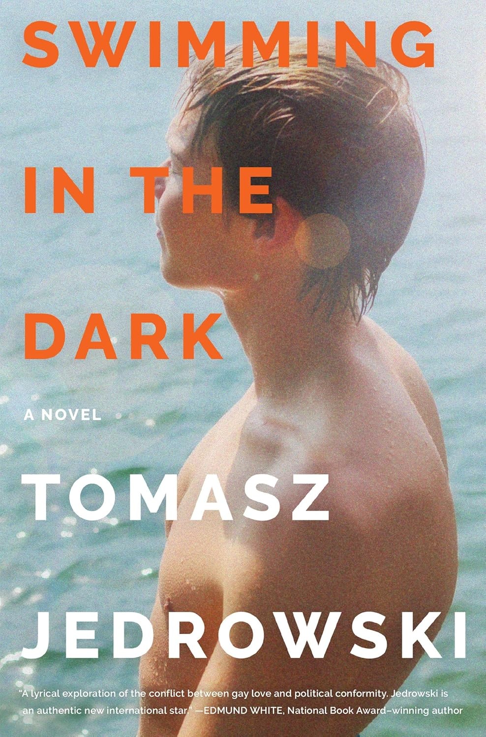 Cover of Swimming in the Dark