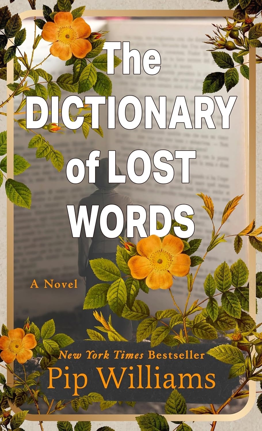 Cover of The Dictionary of Lost Words