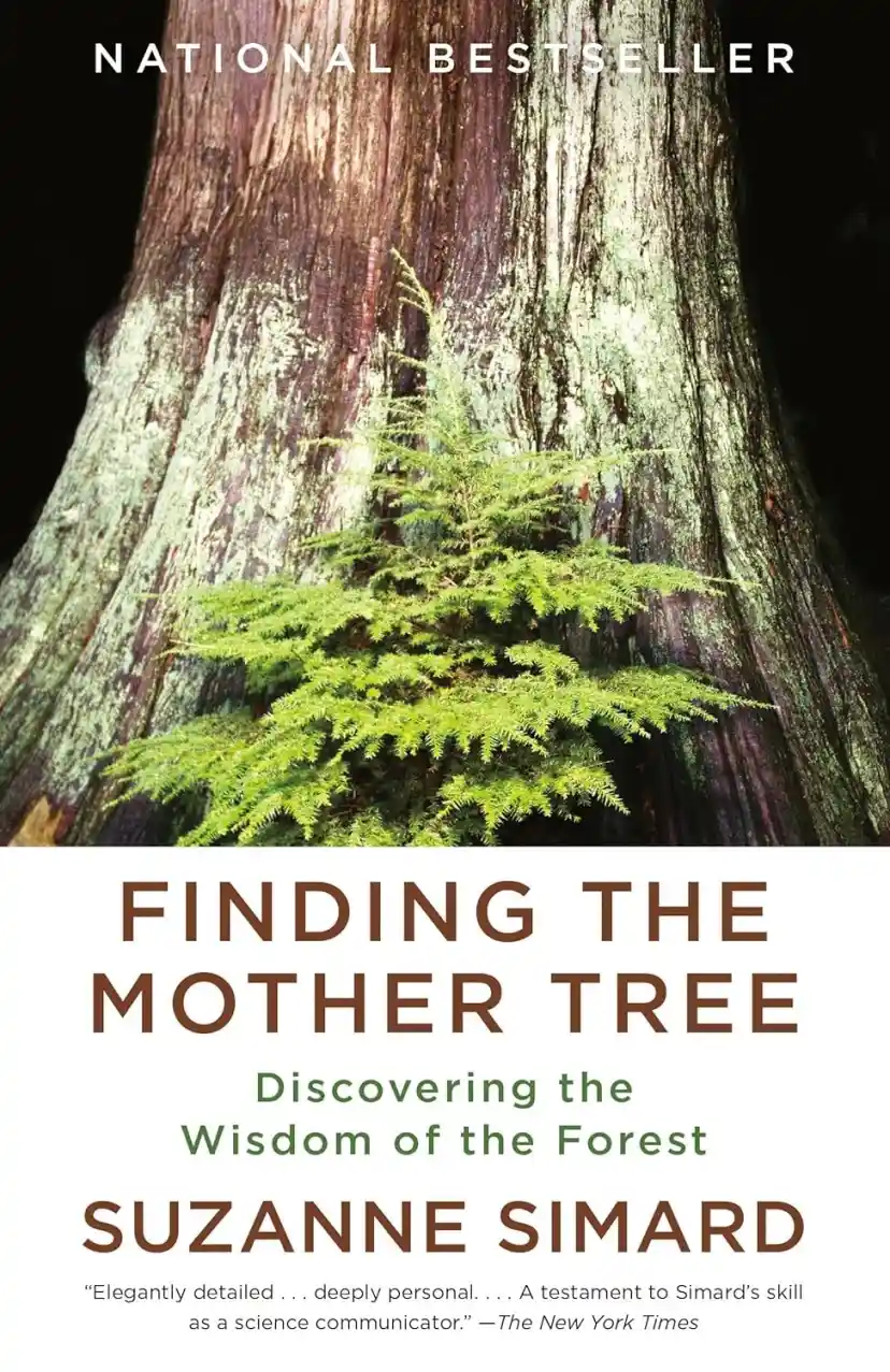 Finding the Mother Tree cover