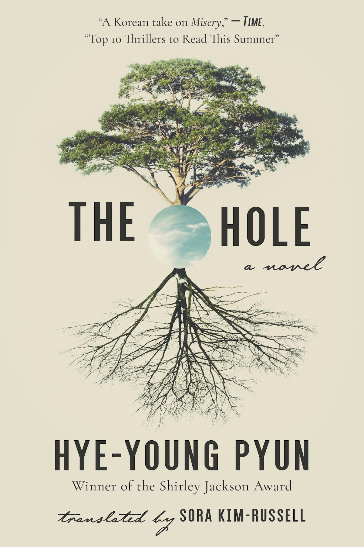 Cover of The Hole by Hye-young Pyun