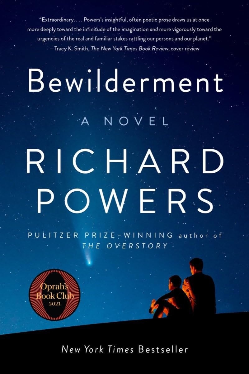 Cover of Bewilderment