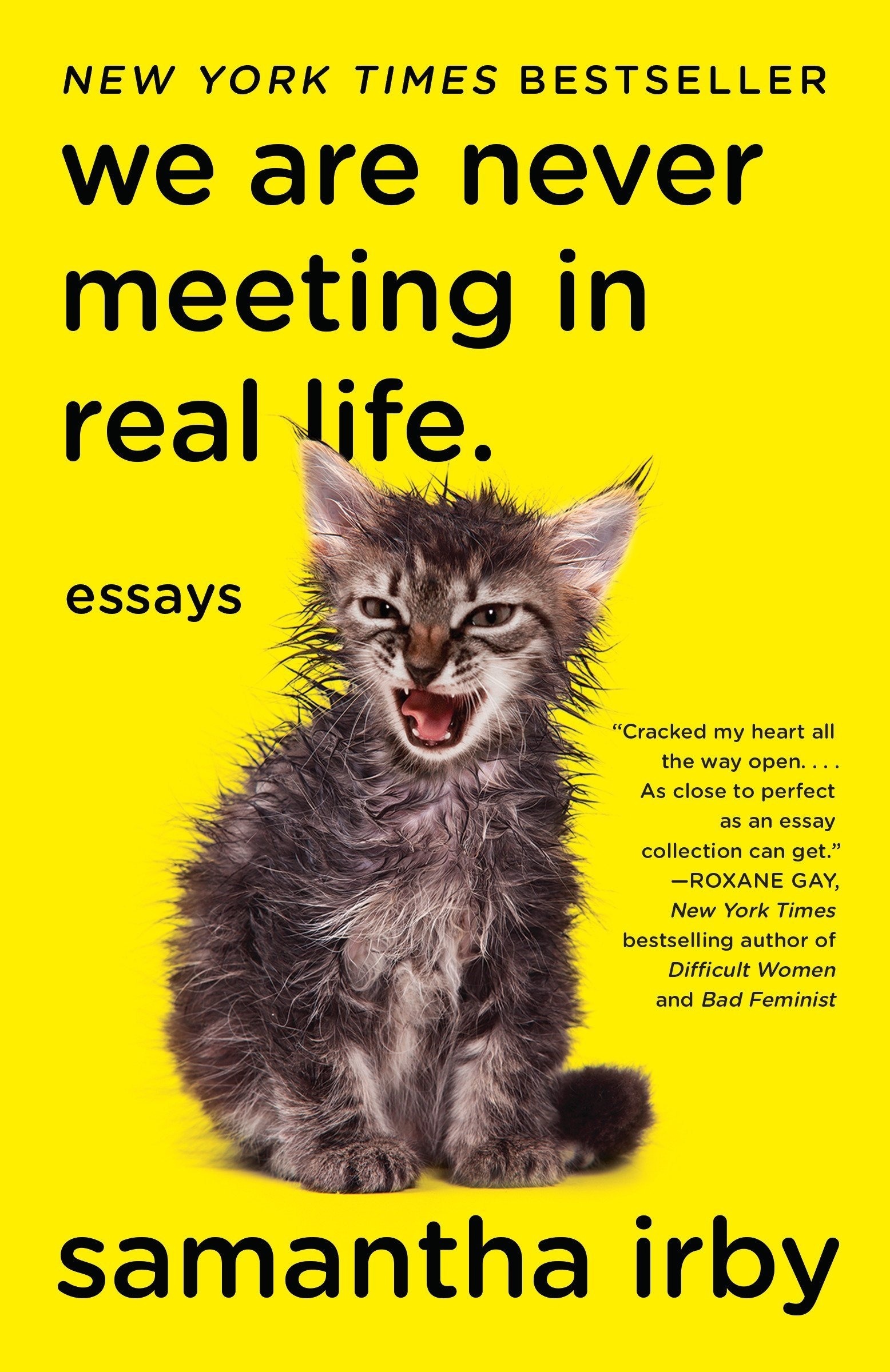 Cover of We Are Never Meeting in Real Life